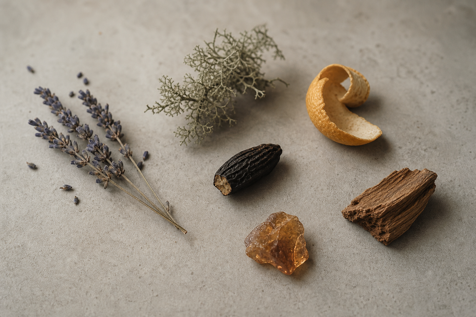 A still life on pale grey concrete of natural perfume materials — a sprig of dried lavender, a tuft of pale-green oakmoss, a curl of dried orange peel, a dark tonka-like bean, a piece of amber resin, and a fragment of cedar wood.