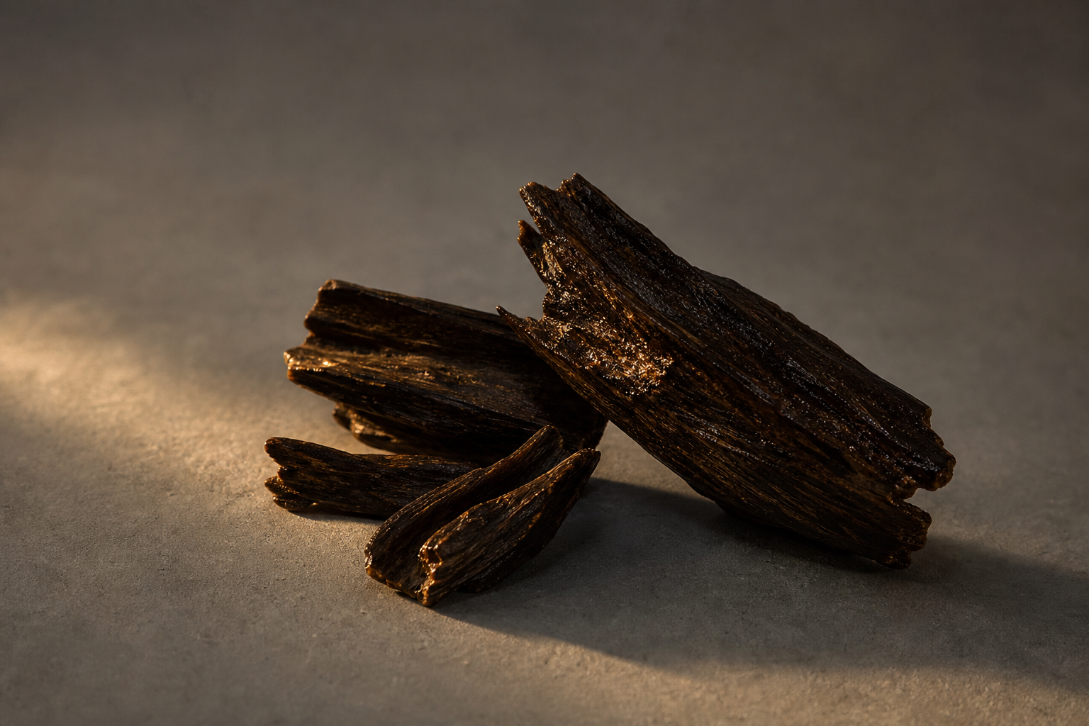 A few pieces of dark, resin-streaked agarwood — oud — resting in warm low light on a concrete-grey surface, the fragrant resinous heartwood a wounded Aquilaria tree produces.